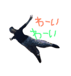 あさぱんのスタンプ（個別スタンプ：13）