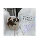 エルくんと時々お友達。（個別スタンプ：4）