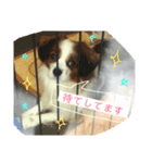 エルくんと時々お友達。（個別スタンプ：5）