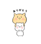 わが家のにゃん子（個別スタンプ：1）