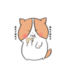 わが家のにゃん子（個別スタンプ：3）