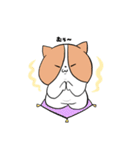 わが家のにゃん子（個別スタンプ：12）