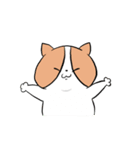 わが家のにゃん子（個別スタンプ：13）