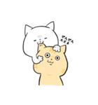 わが家のにゃん子（個別スタンプ：14）