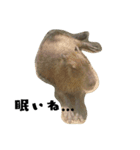✳動物たち（個別スタンプ：9）