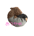 ロイくんの毎日（個別スタンプ：2）