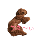 ロイくんの毎日（個別スタンプ：6）