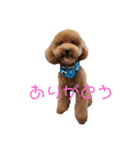 ロイくんの毎日（個別スタンプ：7）