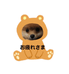 ノア、モコ、ポポ、テンテン（個別スタンプ：6）