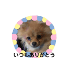 ノア、モコ、ポポ、テンテン（個別スタンプ：14）
