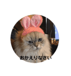 ノア、モコ、ポポ、テンテン（個別スタンプ：18）