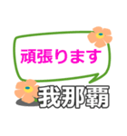 取急ぎ【我那覇,がなは,ganaha】専用（個別スタンプ：19）