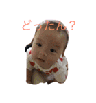 しきぴーやん（個別スタンプ：1）