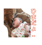 しきぴーやん（個別スタンプ：8）