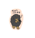 ダックスの龍くん（個別スタンプ：1）