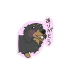 ダックスの龍くん（個別スタンプ：2）