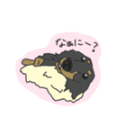 ダックスの龍くん（個別スタンプ：7）