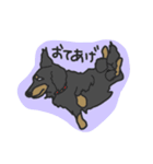ダックスの龍くん（個別スタンプ：8）
