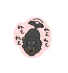 ダックスの龍くん（個別スタンプ：9）