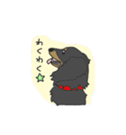 ダックスの龍くん（個別スタンプ：13）