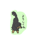 ダックスの龍くん（個別スタンプ：14）