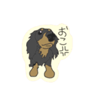 ダックスの龍くん（個別スタンプ：16）