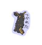 ダックスの龍くん（個別スタンプ：18）