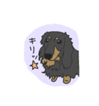 ダックスの龍くん（個別スタンプ：22）