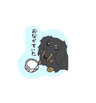 ダックスの龍くん（個別スタンプ：23）