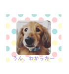 かわいいメルくん（個別スタンプ：1）