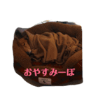 かわいいメルくん（個別スタンプ：5）