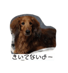 かわいいメルくん（個別スタンプ：8）