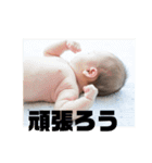 蓮くんスタンプ 第2弾（個別スタンプ：3）