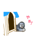 たま吉くんのスタンプver1（個別スタンプ：7）