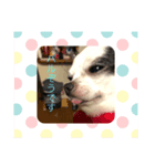 パルぞうくんPart3（個別スタンプ：5）