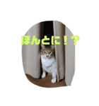ミミとケビ（個別スタンプ：1）