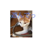 ミミとケビ（個別スタンプ：6）