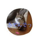ミミとケビ（個別スタンプ：9）