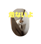 ミミとケビ（個別スタンプ：10）
