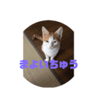 ミミとケビ（個別スタンプ：14）