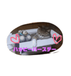 ミミとケビ（個別スタンプ：15）