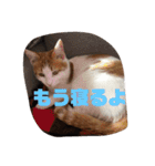 ミミとケビ（個別スタンプ：20）