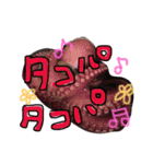 日常で使えるよーなやつを作りました（個別スタンプ：31）