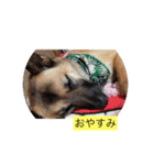 けんたろうのつぶやき（個別スタンプ：4）