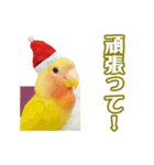 ピヨちゃんのクリスマス（個別スタンプ：6）