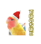 ピヨちゃんのクリスマス（個別スタンプ：10）