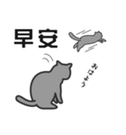 せねこ 10 -SENEKO 10- 日本語+台湾華語（個別スタンプ：2）