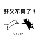 せねこ 10 -SENEKO 10- 日本語+台湾華語（個別スタンプ：4）