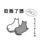 せねこ 10 -SENEKO 10- 日本語+台湾華語（個別スタンプ：22）