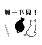 せねこ 10 -SENEKO 10- 日本語+台湾華語（個別スタンプ：31）